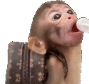 slorp emote