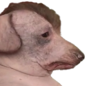 artiarch avatar