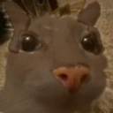 LaCaraDelTobes emote