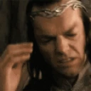 FACEPALM emote