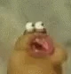ChompChomp emote