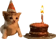 Birthday emote