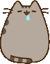 PusheenDrool emoji
