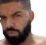 Hey_Shawty emote