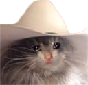 CE_SadCowboy emote