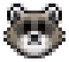 raccoon emote
