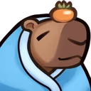capyCOZY emote