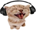 sillycatwithheadphones emote