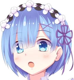 remwow emote