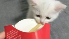 FRIES emote