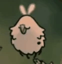 awoo emote