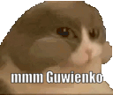 guwienko animated emote