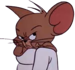 jerry_mad emote
