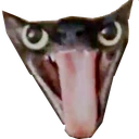 esmerilemeragatito emote