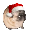 christmas_pug emoji