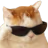cool_cat emote