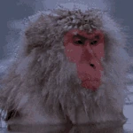 water_monkey emote