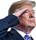 Trump_salute emote
