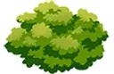 Bush emote