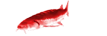 EvilJoeler emote