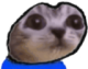 moreMogi static emote