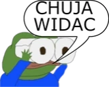 CHUJAWIDAC emote
