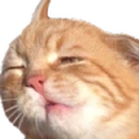 spacedOut emote