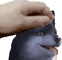 PetTheTorgal emote