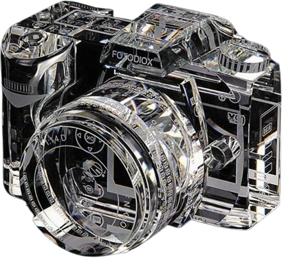 cyber_glasscamera emote
