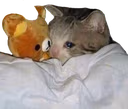 CE_Sleepcat2 emote