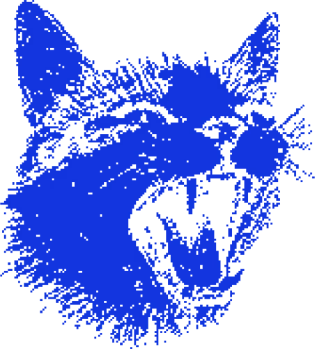 Cat6 emote