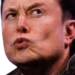 elonwhatthe emote