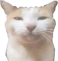 Serious emote