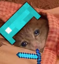 SadCatSleep emote