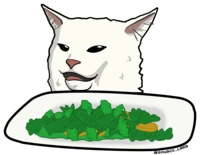 SaladCat emote