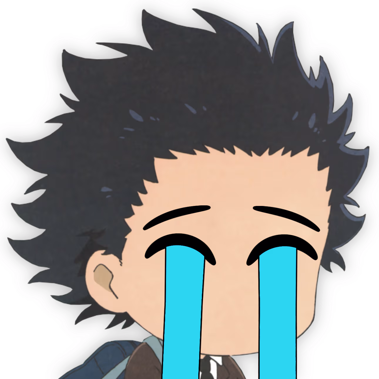 ShoyaIshida_SadCry emote