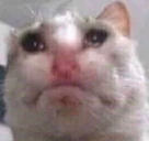 meanie emote