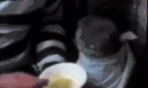 am emote