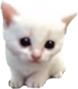 mewpert emote