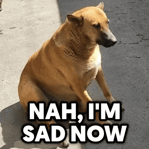 sad_dog static emote