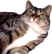 lucyFreak emote