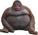 lemonke emote