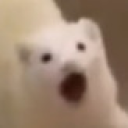 POG static emote