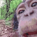chimpLick emote