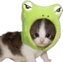 CatFrog emote
