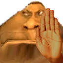 brugStop emote