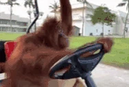 Driving emoji