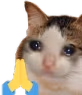 CE_PrayingForU emote