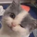 winksatu emote