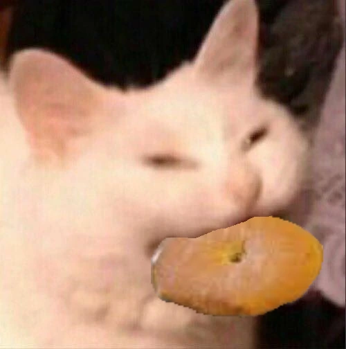 bagelcat emote